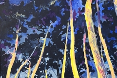 Agnes_Decourchelle-Impression-nocturne