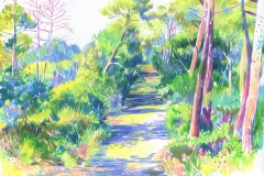 Agnes_Decourchelle-Les-Landes