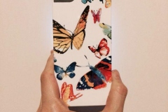 Butterflies-Decourchelle_A-1